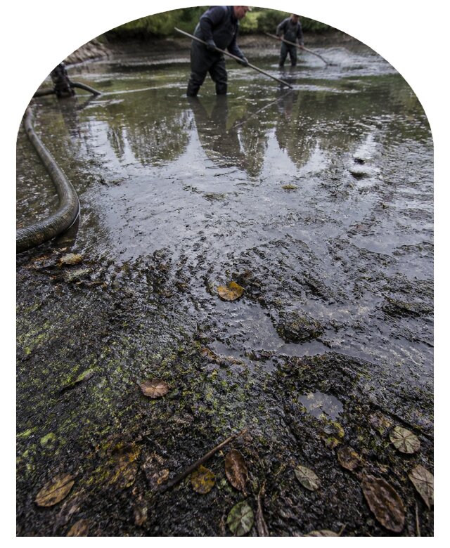 Очистка пруда в Клинцах от ила мусора и водорослей с вывозом